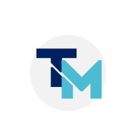 TwinMind logo - Similar company to Weever.Dk