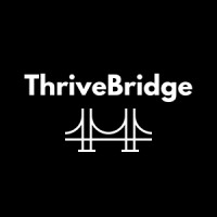 ThriveBridge logo - Similar company to 265 Global Smart Technologies