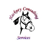 Hackney Consulting Services LLC logo - Similar company to Kodabit