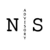 NS Advisory logo - Similar company to Ns Advisory