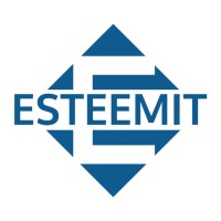 EsteemIT logo - Similar company to Emergetech Inc