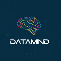 DataMind Ecuador logo - Similar company to Techvision Ecuador