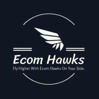 Ecom Hawks logo - Similar company to User Folk
