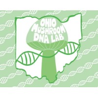Ohio Mushroom DNA Lab logo - Similar company to Mycota Lab