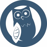 OWL Computing Development logo - Similar company to Catchmark Technologies