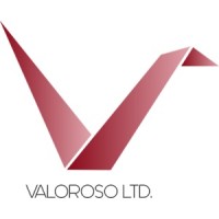 深圳巴伦如梭网络有限公司 logo - Similar company to Sjoc Pro - Professional Lighting Solutions