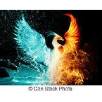 Phoenix Express