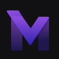 MLV Web agency logo - Similar company to Mrktbox
