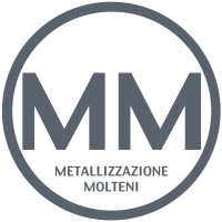 Metallizzazione Molteni S.r.l. logo - Similar company to Argenesi Srl