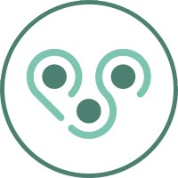 Printspector logo - Similar company to St Boringen
