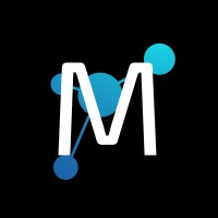 mesonomics logo - Similar company to Rck Programme Methods