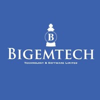 Bigemtech Teknoloji ve Yazılım Ltd.Şti. logo - Similar company to Quantumx
