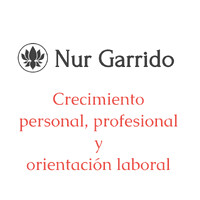 Nur Garrido logo - Similar company to Humanhorizon Partners