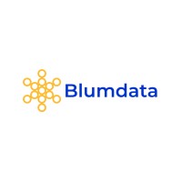 Blumdata logo - Similar company to V&D Global Solutions