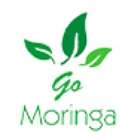 Go Moringa logo - Similar company to Beyond Mirror