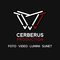 Cerberus Production Romania logo - Similar company to Andros Connect