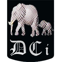 Detroit Cyber Inc logo - Similar company to Spectrum Net Designs, Inc