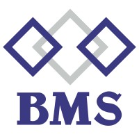 PT BAHTERA MITRA SUKSES logo - Similar company to Pt Dfp Aero Inovasi