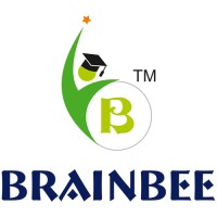 Brainbee logo - Similar company to Informauto Srl