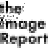 The Image Report