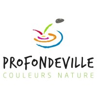 Commune de Profondeville logo - Similar company to De Ceuster
