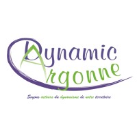 DYNAMIC ARGONNE logo - Similar company to Mcd Maintenance Conseil Diffusion