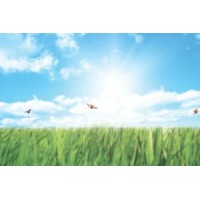 Baker Commercial Landscaping logo - Similar company to Axb Drone Solutions, Llc