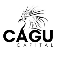 Cagu Capital logo - Similar company to Valuexchange