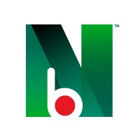 Network Bangladesh logo - Similar company to Lltv