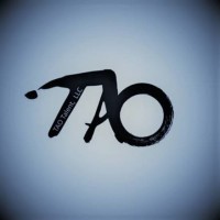 TAO Talent, LLC logo - Similar company to Prosidon