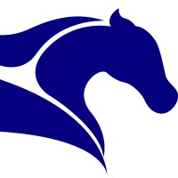 pegasusuv.com logo - Similar company to Emb Systems