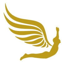 Prof. Carlos Barbosa - Direito Aeronáutico logo - Similar company to Ibaer - Instituto Brasileiro De Direito Aeronáutico