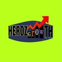 Heroz Growth logo - Similar company to هيروز | Heroes