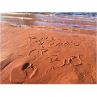 Backroads Or Bust logo - Similar company to Joenlily