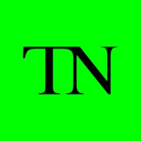 Times Newᵀᴺ logo - Similar company to Daniks
