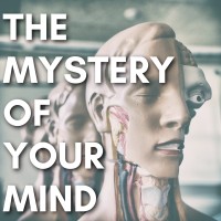 The Mystery Of Your Mind