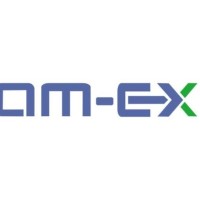 AM-EX Insurance Brokers (India) Pvt Ltd logo - Similar company to Amicus Insurance Broking Services Pvt. Ltd