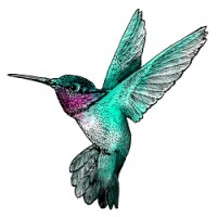 Hummingbird Artisan Foods logo - Similar company to United Way Of Dutchess-Orange Region