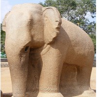 Elegant Elephant Labs