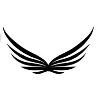 Wings IT Solution logo - Similar company to Wings It Solutions