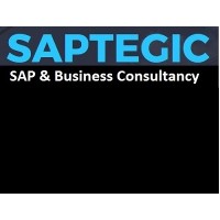 SAPtegic logo - Similar company to Yteria