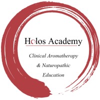 Holos Academy logo - Similar company to Cinnapharm