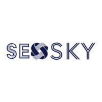 SEO Sky logo - Similar company to Probot