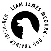 Liam James McGurk - Dog Trainer Ibiza & Barcelona logo - Similar company to Dog Trainer