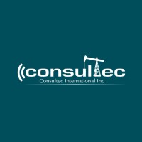 Consultec International Inc logo - Similar company to Innergy Sas