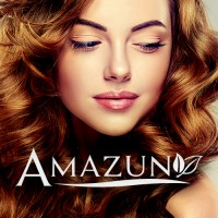 Amazun logo - Similar company to Areja