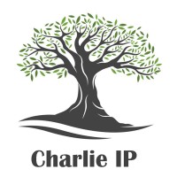 Charlie Intellectual Property (PTY) LTD logo - Similar company to Solar Hub Sa - Bess