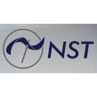 NST GROUP logo - Similar company to Nst Partners, Inc.