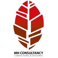 MH CONSULTANCY Asesores y Consultores logo - Similar company to Repcon
