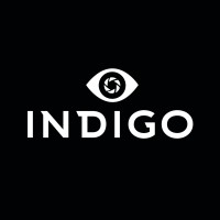 Indigo Agencia Digital logo - Similar company to D-Nexo